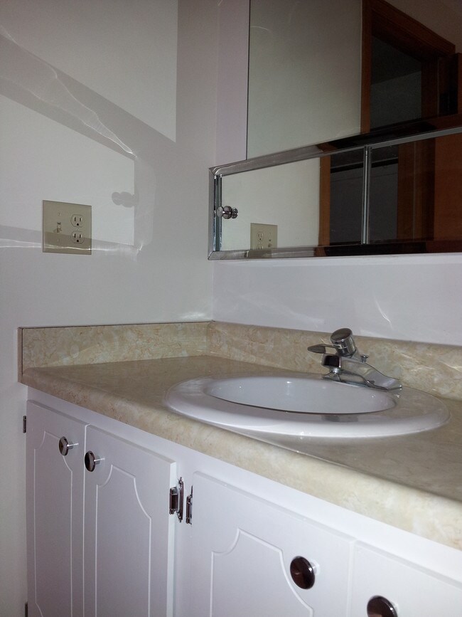 Elegant bathroom sink - 4692 Winterset Dr