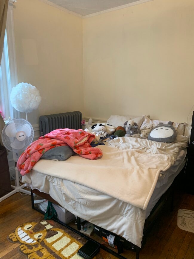 Building Photo - 62 Egmont St