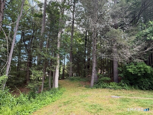 Foto del edificio - 143 Pine Hill Rd