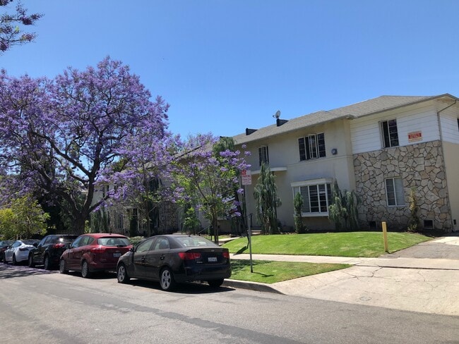 View of jacaranda tree from unit - 1645 Rodney Dr
