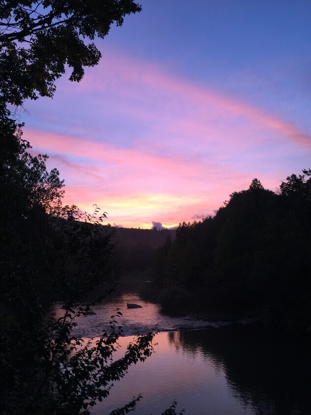 36 Main St Unit C, Livingston Manor, NY 12758 Apartments in