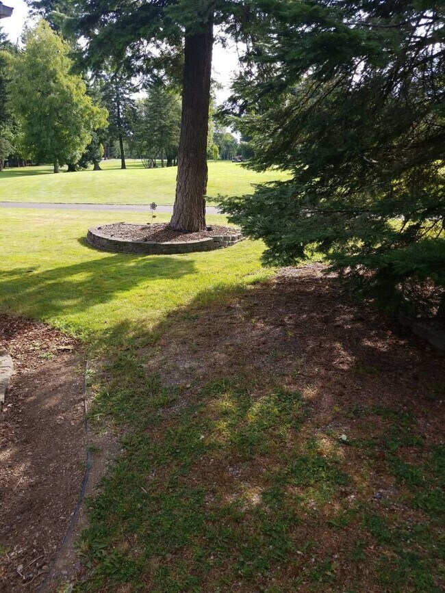 Foto del edificio - Home On Avondale Golf Course