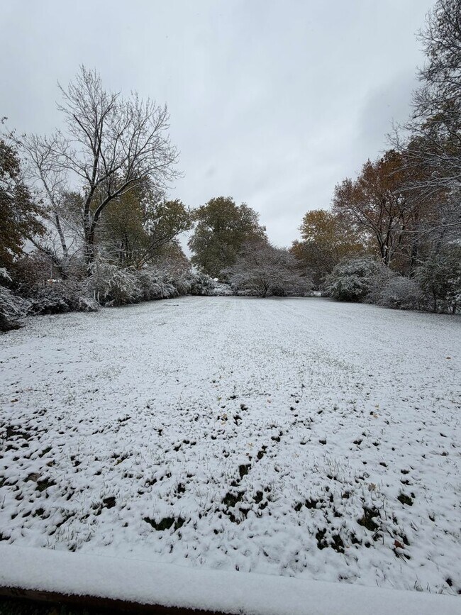 Foto del edificio - Freshly Renovated Home in Convenient Locat...