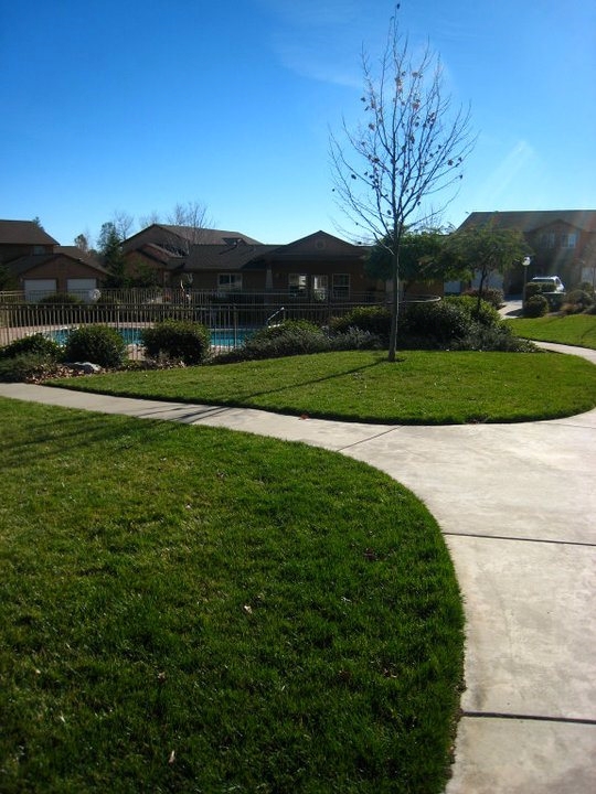 Primary Photo - Meadowood Apartments