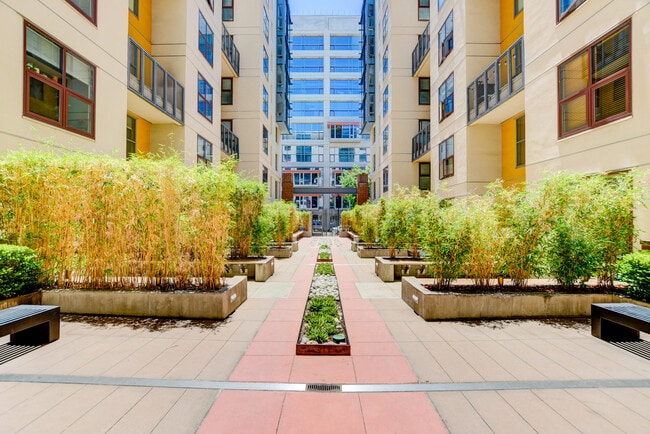Garden entry - 1150 J St