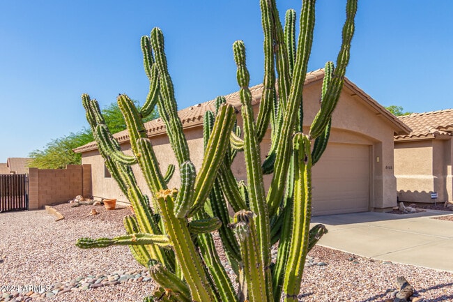Building Photo - 6460 S Mesa Vista Cir