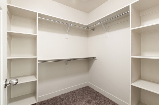 Building Photo - The Cove at Pleasant View