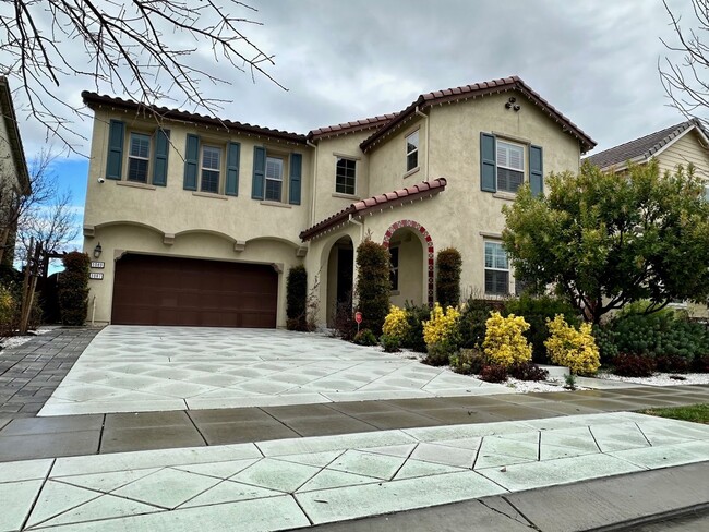 Building Photo - Beautiful home with large backyard in Mountain House