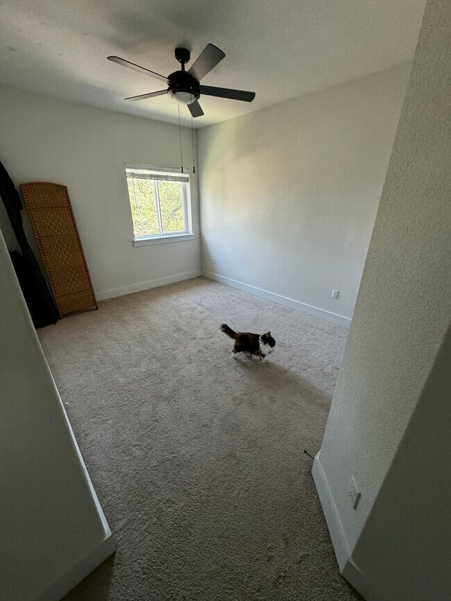 Building Photo - 7205 Albert Rd