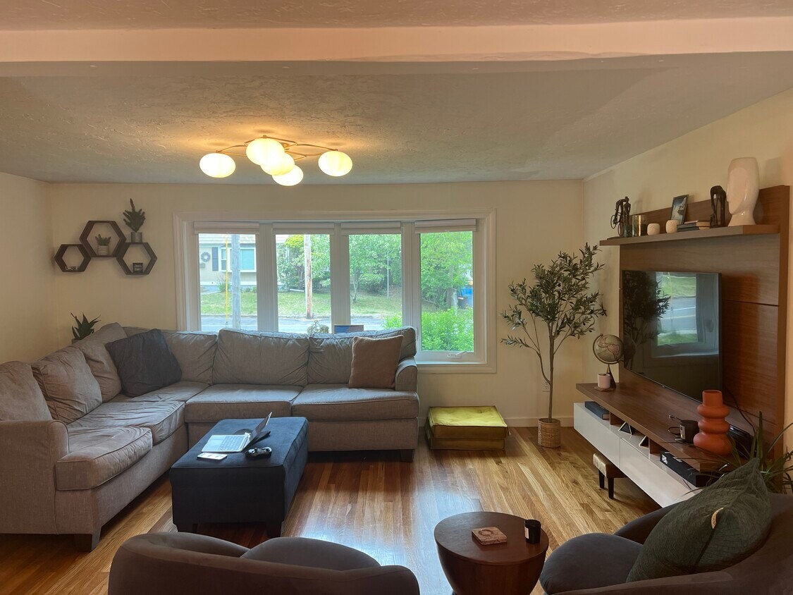 Living Room - 846 Front St