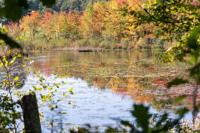 The Mumford River walk has beautiful scenery.