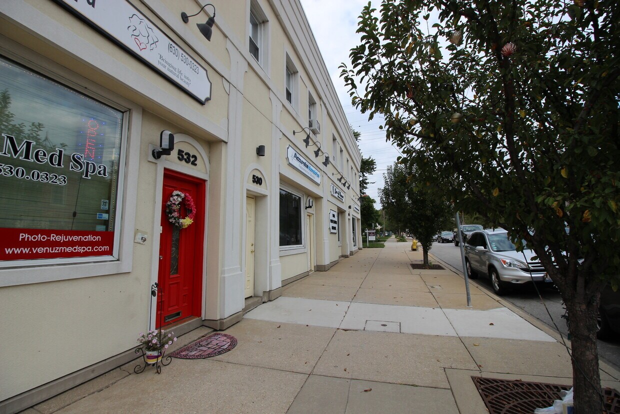 526 S York St Unit D, Elmhurst, IL 60126 Condo for Rent in Elmhurst