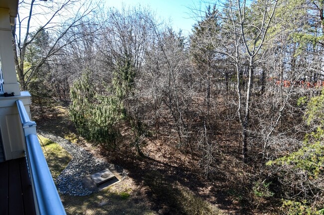 Foto del edificio - 11322 Westbrook Mill Ln