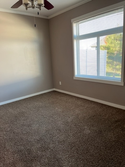Very spacious bathrooms - 14 Pleasant View Ct