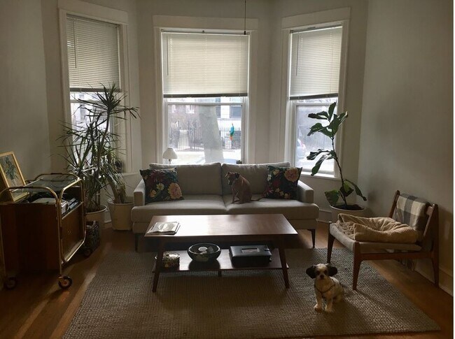Foto del edificio - 2531 N Spaulding Ave
