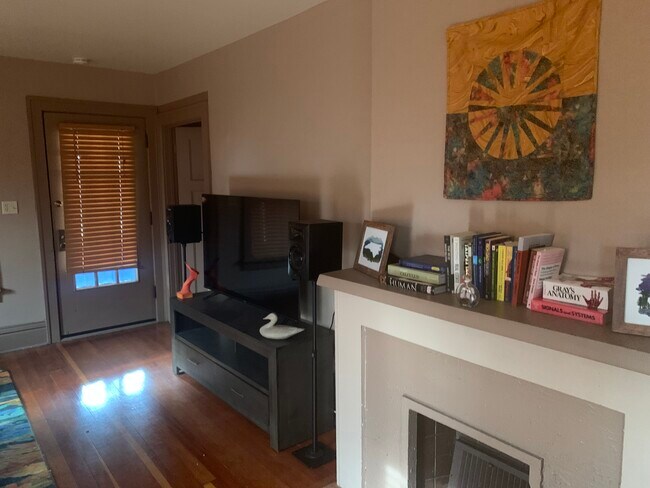 Gorgeous fireplace - 4020 Monona Dr