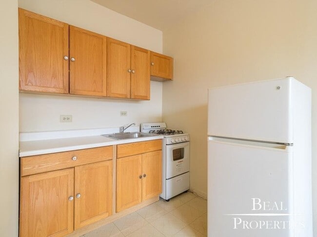 Building Photo - 0 bedroom in CHICAGO IL 60657
