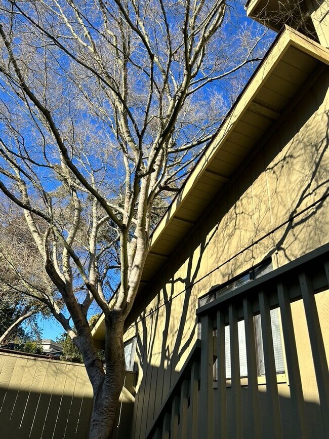 Building Photo - Sweet Spot Scotts valley