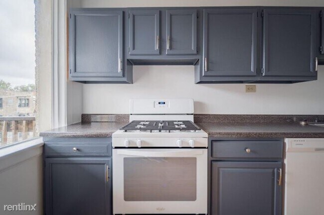 Building Photo - 711 W Buckingham Pl