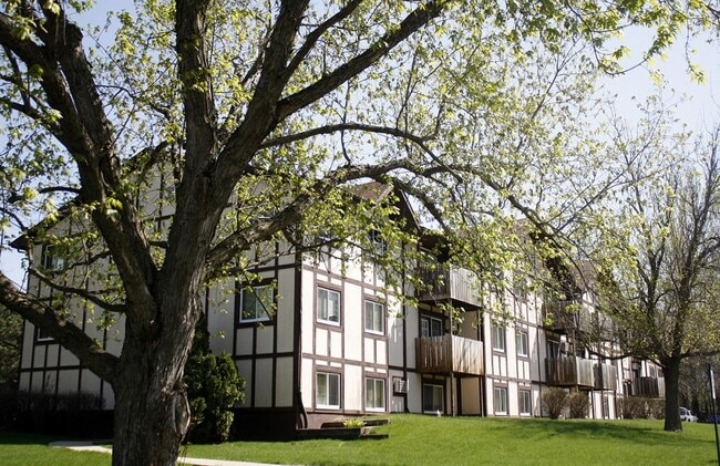 Building Photo - Olive Terrace Apartments