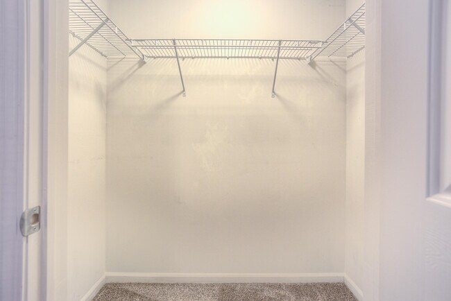 Building Photo - 28471 Carlton Way Dr