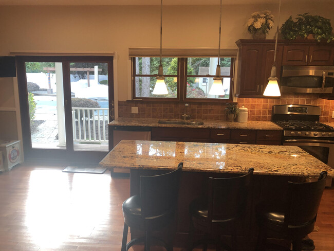 Large kitchen complete w/ double sink, incinerator, microwave, dishwasher, & private backyard views - 42 Pleasant Ave