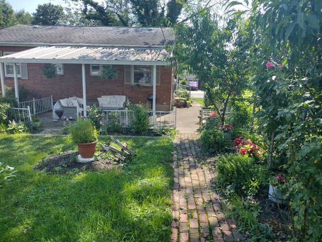 Patio Rear including electric grill - 211 S 19th St