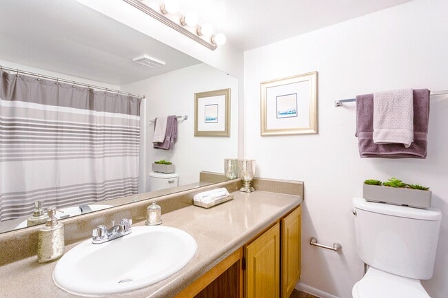 ¡Baño completo - Monterey Lake
