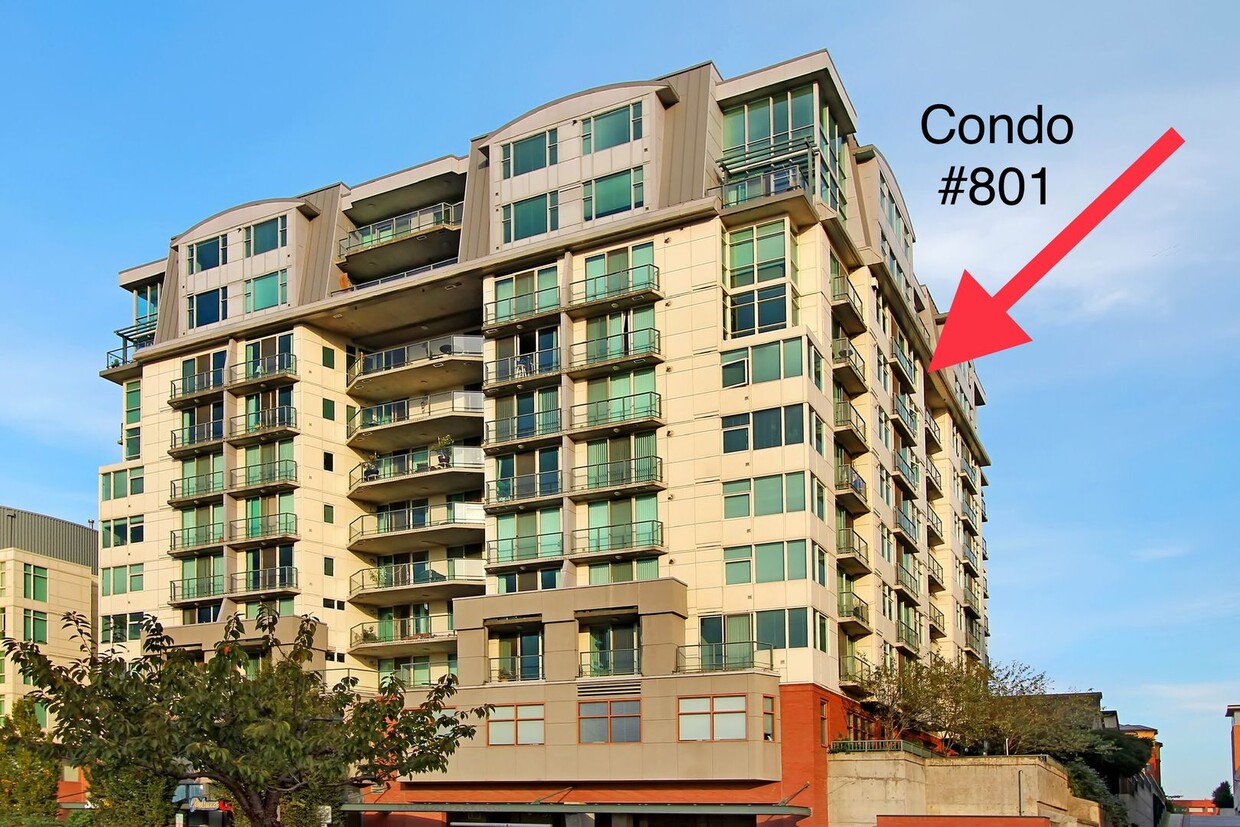 0bd/1ba Bellevue Condo - 0bd/1ba Bellevue Condo