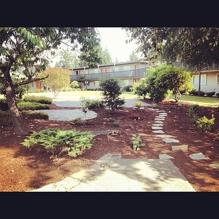 Fotografía del edificio - Sierra Meadows II