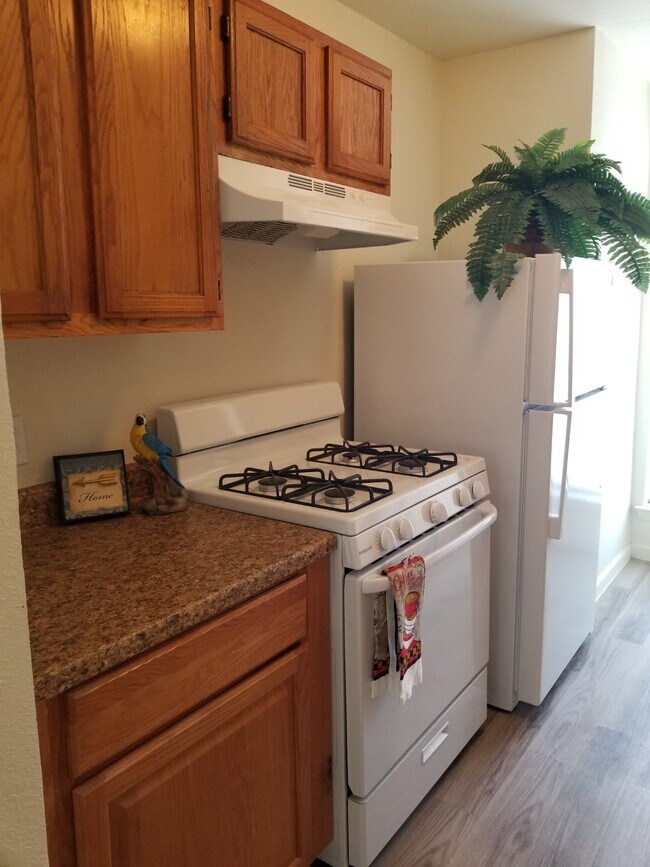 The Village Apartments RESTRICTED Rentals in Baytown at 4601 Village Ln Baytown, TX