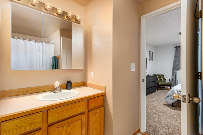 Upstairs Master Bath - 348 Lowe St