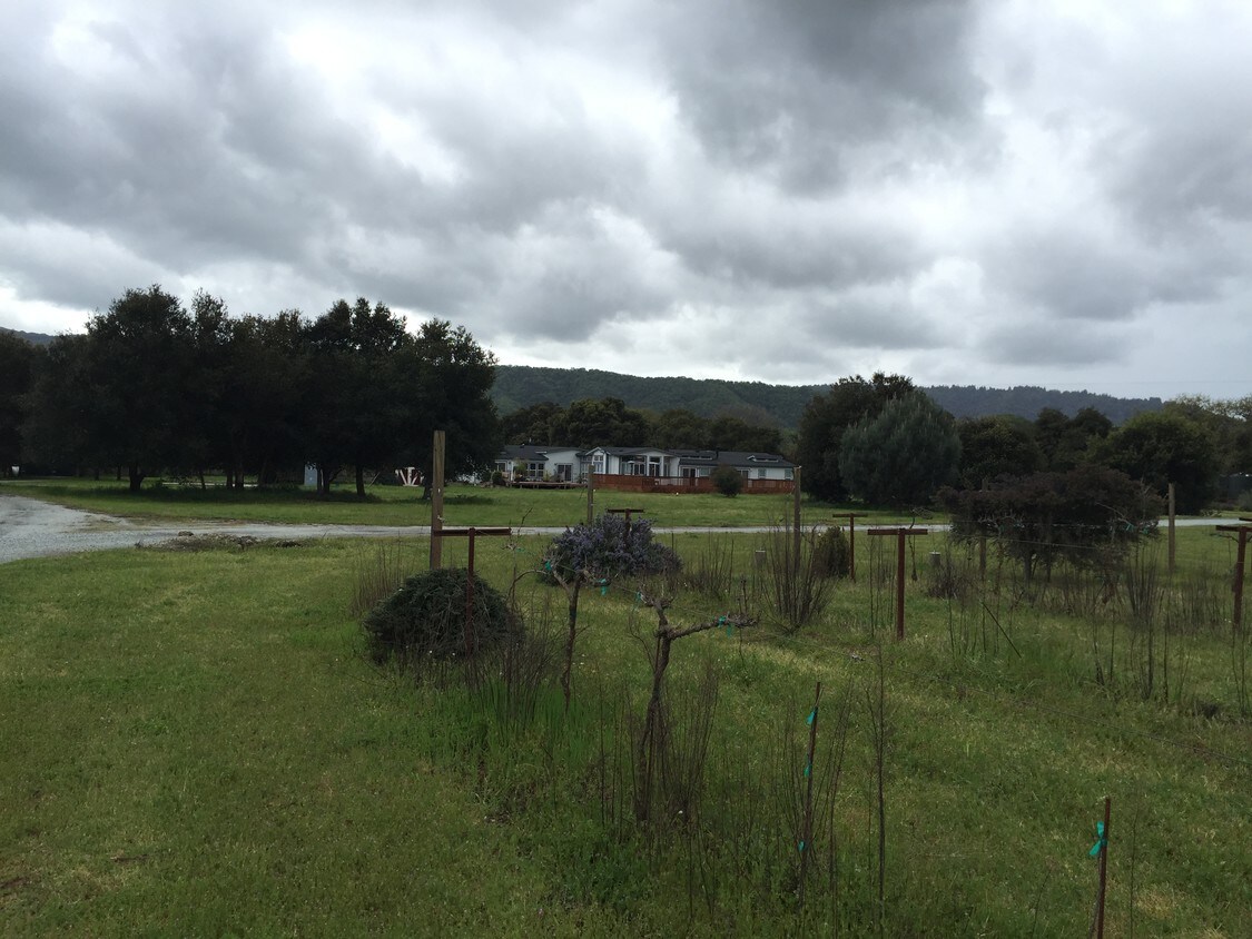 9385 Burchell Rd, Gilroy, CA 95020 House Rental in Gilroy, CA