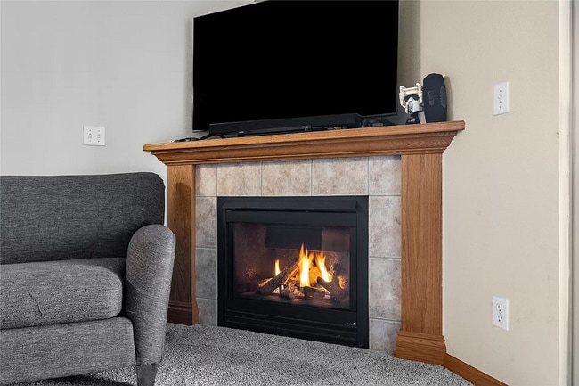 Fireplace - 250 Cimarron Dr