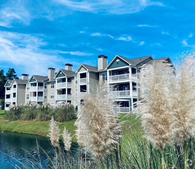 Apartments for Rent in 29588