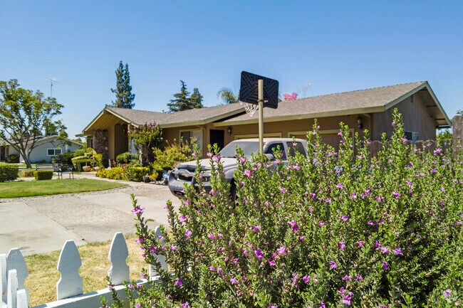 Enjoy colorful flowers along the sidewalks of Turlock.