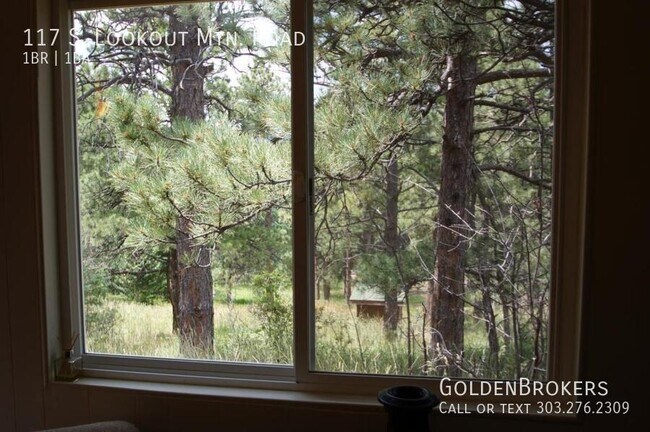 Photo - 117 S Lookout Mountain Rd House