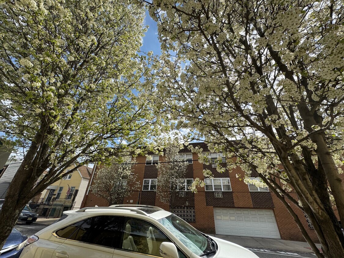 Primary Photo - 210 Bergenline Ave