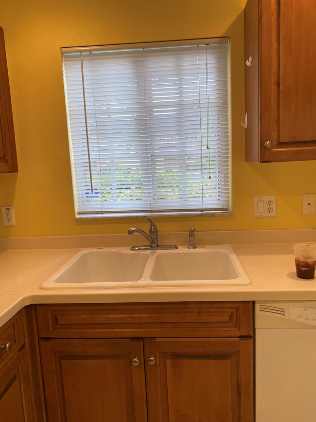 Kitchen window brings in lots of light! - 9420 Ivy Brook Run