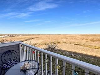 Foto del edificio - Make this charming studio with marsh views...