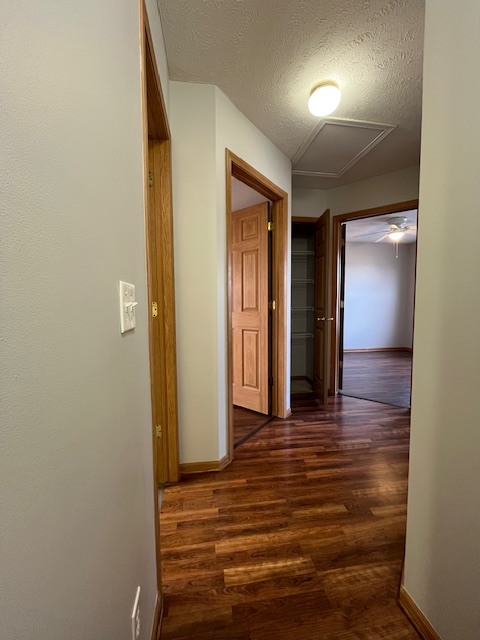 Building Photo - Edna