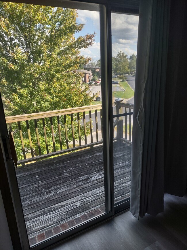 Foto del edificio - 332 Southampton Dr