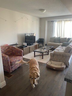 Photo du bâtiment - 44 Summer Ln