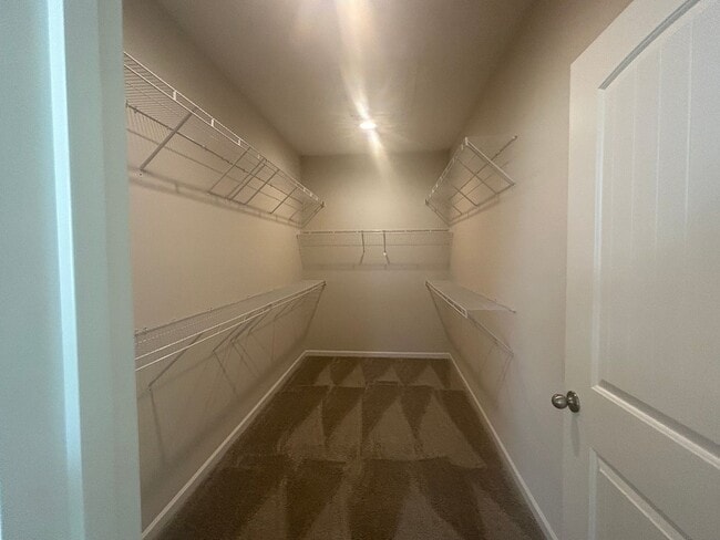 Foto del edificio - Brand New in Trolley Run