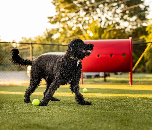Foto del edificio - Veranda Vistas