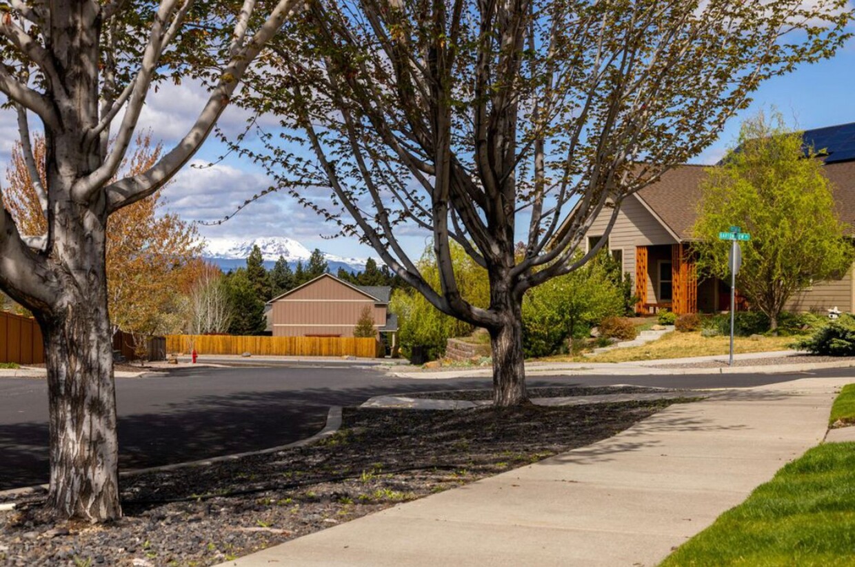 Primary Photo - Detached ADU in a quiet neighborhood