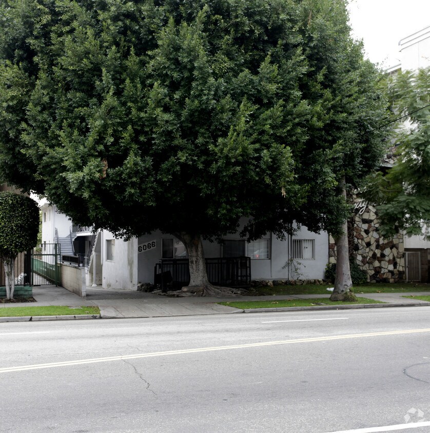 Primary Photo - 6066 Franklin Ave