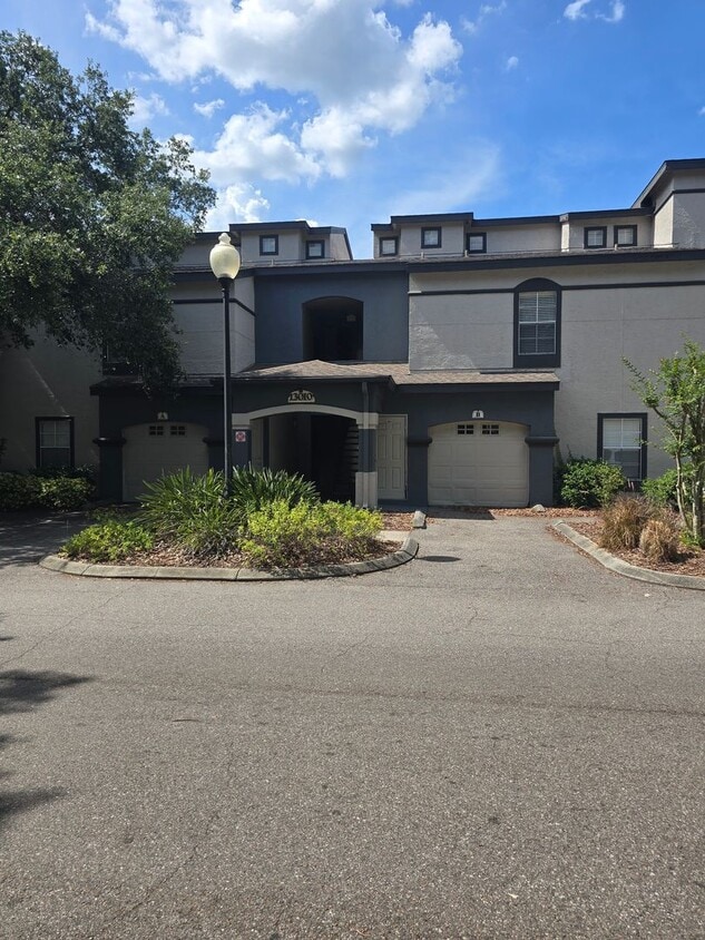 One bedroom one bath apartment close to USF - One bedroom one bath apartment close to USF