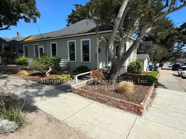 Building Photo - 702pine