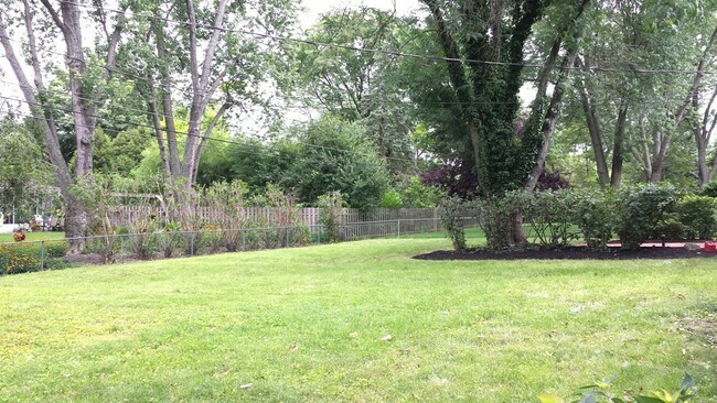 Back Yard - 2460 McCoy Rd